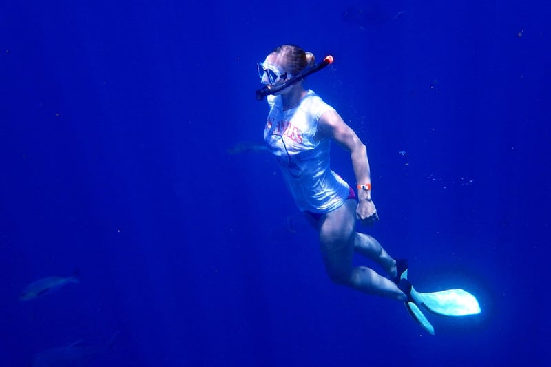 Mermaid Dives